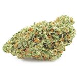 Шишки OG Kush (Гидропоника, бошки) VHQ в Кинеле Шишки OG Kush (Гидропоника, бошки) VHQ в Кинеле